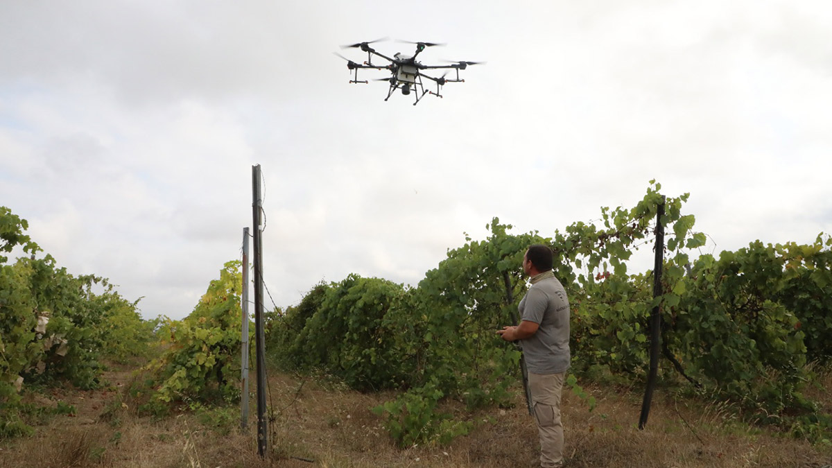 OMÜ Ziraat Fakültesi Tarımsal Yapılar ve Sulama Bölümü Öğretim Üyesi Eyüp Selim Köksal, bugünün önemli dijital teknolojilerinden olan İHA'ların tarımsal üretimde kullanımının arttığını ve gelecekte daha da çok yaygınlaşacağını söyledi.