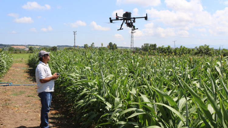 İHA'ların tarımsal üretimde kullanımı arttı