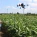 İHA'ların tarımsal üretimde kullanımı arttı