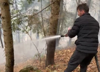Trabzon'da ormanda çıkan örtü yangını söndürüldü