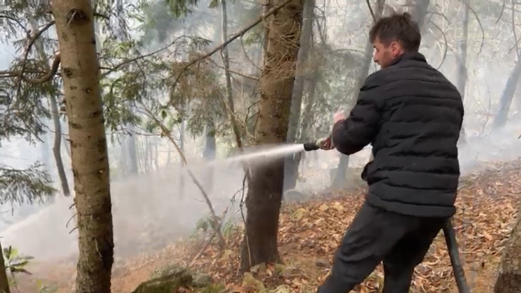 Trabzon'da ormanda çıkan örtü yangını söndürüldü