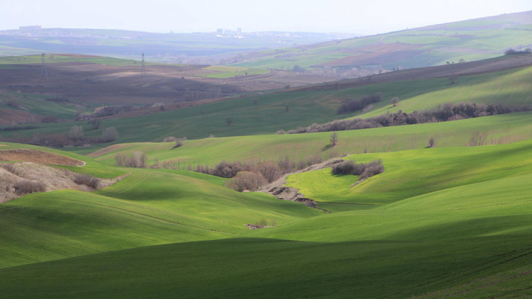 Trakya'da üründe verim kaybı olacak