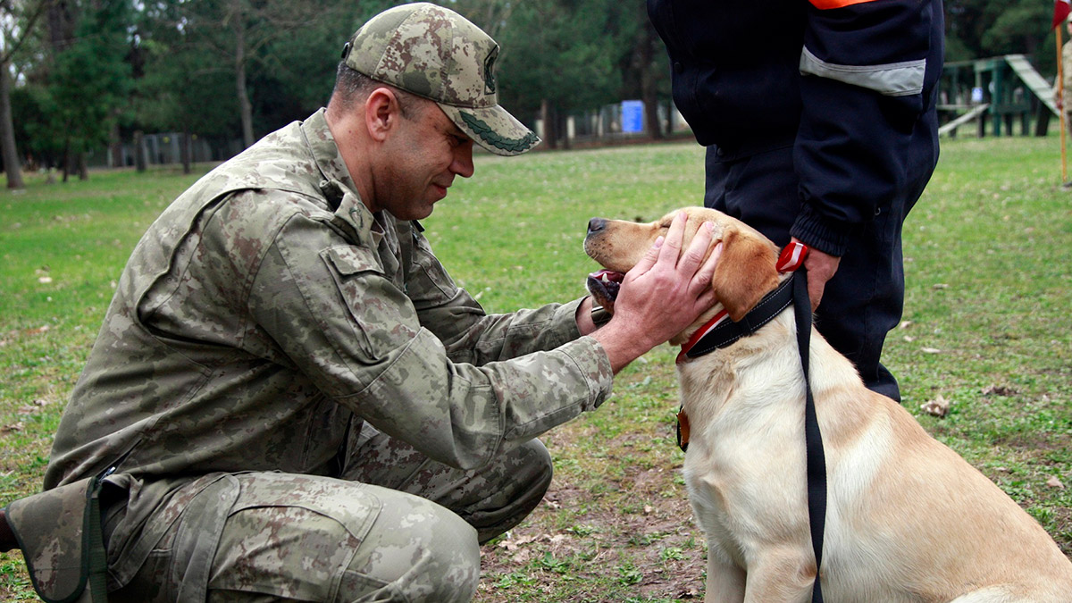 TSK'nın arama köpekleri 78 kişiyi kurtardı; depremlerin ardından bölgede yürütülen arama kurtarma çalışmalarında görev yapan ekiplerin ‘sessiz kahramanları’ köpekler oldu.