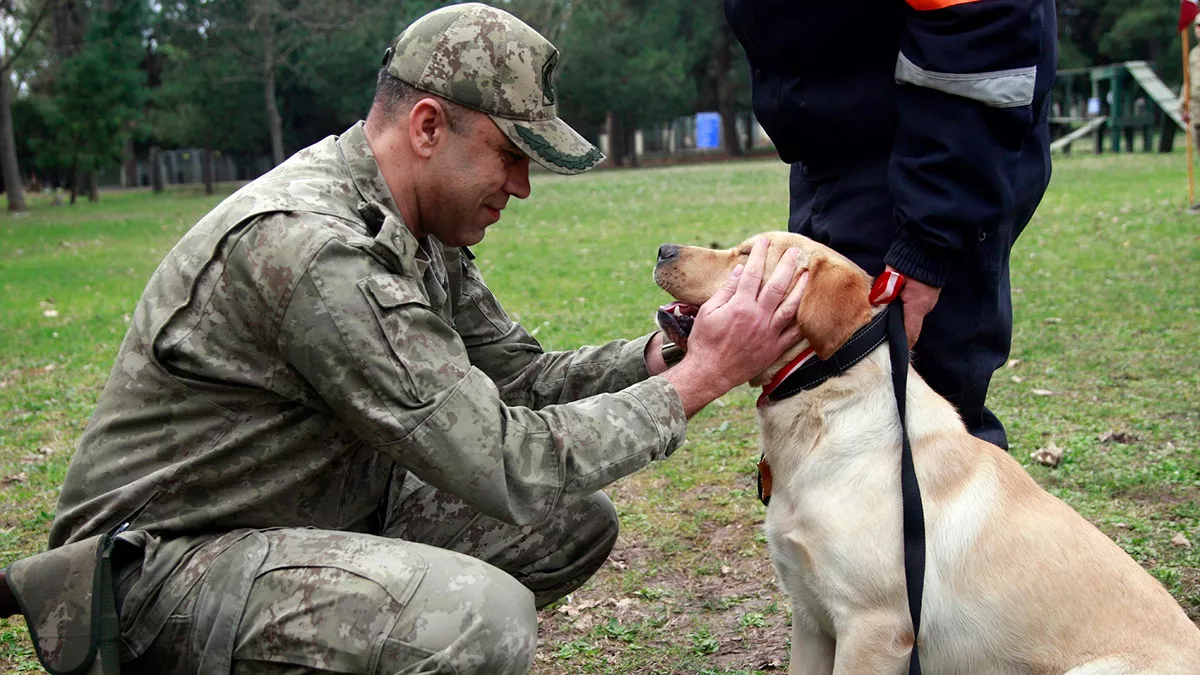 Tsk'nın arama köpekleri 78 kişiyi kurtardı; depremlerin ardından bölgede yürütülen arama kurtarma çalışmalarında görev yapan ekiplerin ‘sessiz kahramanları’ köpekler oldu.