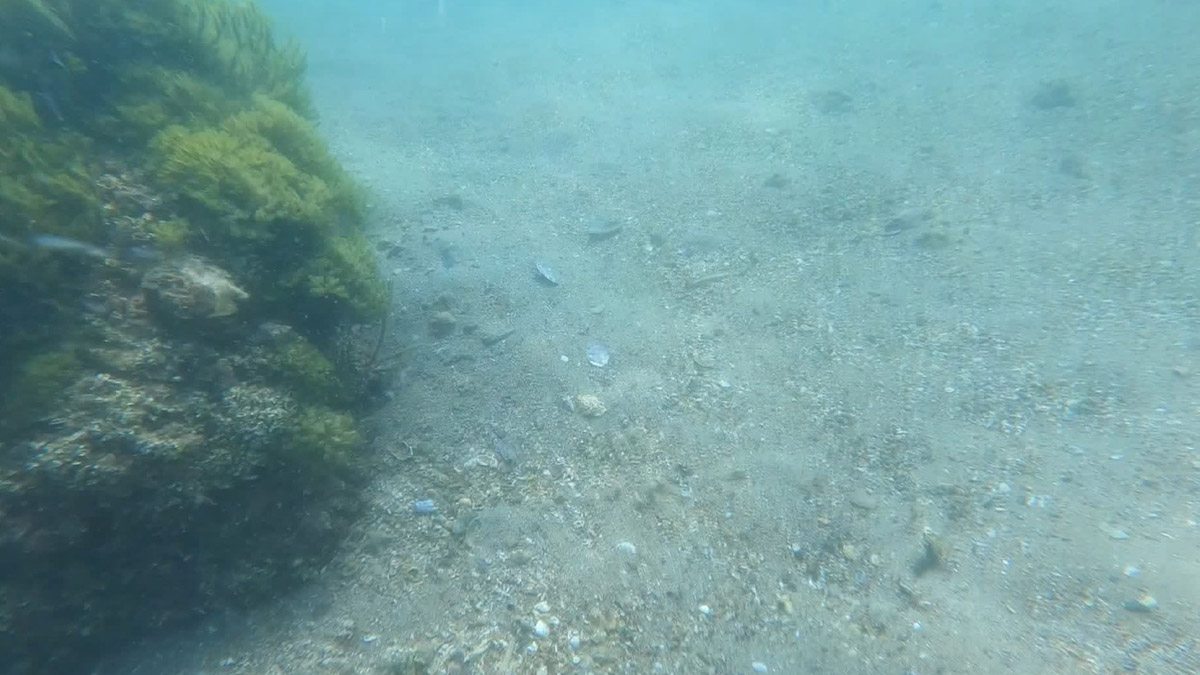 TÜDAV'dan 'Açık Deniz Anlaşması' çağrısı