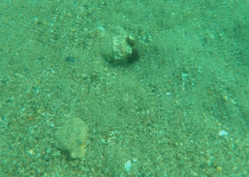 TÜDAV'dan 'Açık Deniz Anlaşması' çağrısı