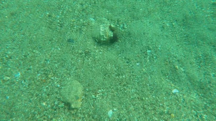 TÜDAV'dan 'Açık Deniz Anlaşması' çağrısı