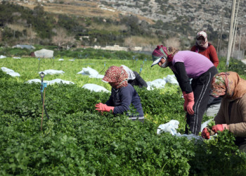 Hatay'da iş yeri zarar görmeyen üreticiler çalışıyor
