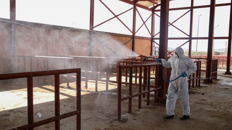 Hayvan pazarında dezenfeksiyon çalışması