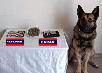 Narkotik köpeği Asır, yolcu şapkasında uyuşturucu buldu