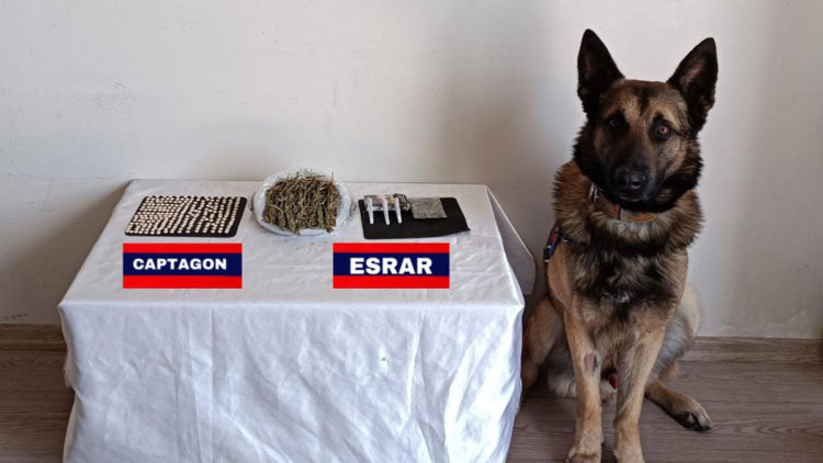 Narkotik köpeği Asır, yolcu şapkasında uyuşturucu buldu