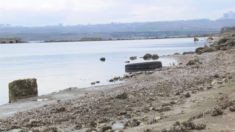 Büyükçekmece Baraj Gölü'nde su metrelerce çekildi