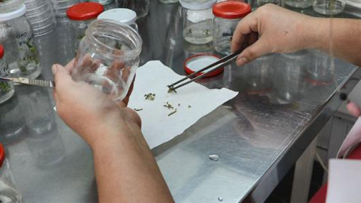 Tarım ve Orman Bakanlığı, Doğa Koruma ve Milli Parklar Genel Müdürlüğü ekiplerince, 2007 yılından bugüne 21 farklı ülkeden Türkiye'ye gelerek biyokaçakçılık yapmaya çalışan 156 kişiye 5,6 milyon TL idari para cezası uygulandı.