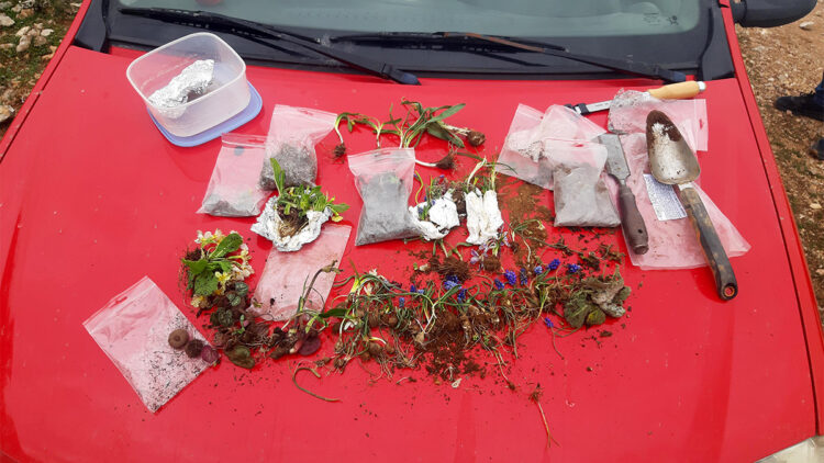 Biyokaçakçılık yapan 156 kişiye para cezası