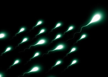 550 çocuğun sperm donörü olan adama yasak geldi