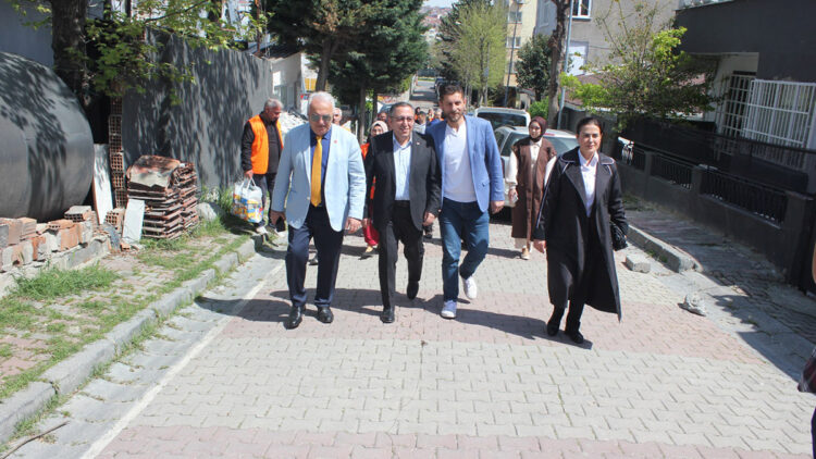 AK Parti'nin İstanbul'da hane ziyaretleri sürüyor