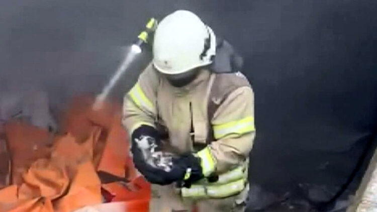 Avcılar'da yangın: 3 yavru kedi yanmaktan kurtarıldı