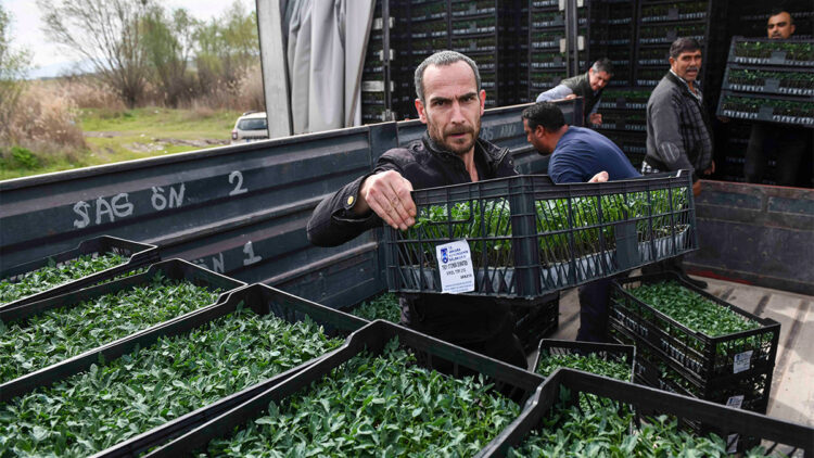 Başkentte kırsal kalkınma atağı devam ediyor