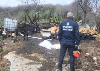 Beykoz'da ahır yangını: 1 inek ve 1 köpek öldü