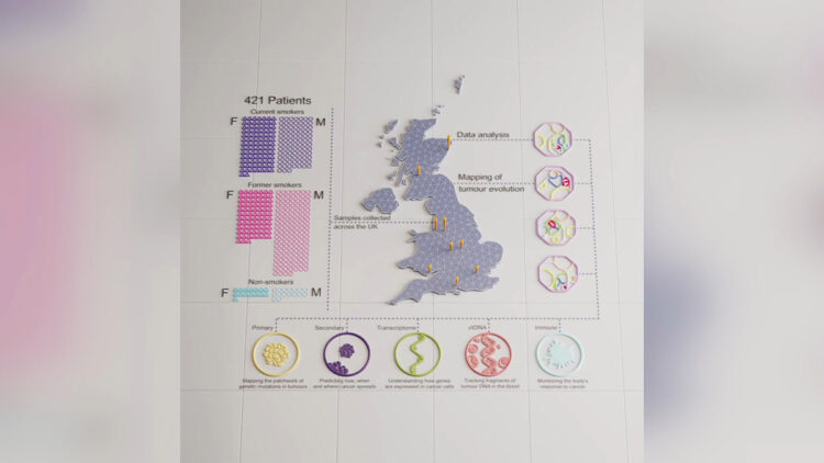 Bilim insanlarından ‘seçilmiş kanserli hücre' tespiti
