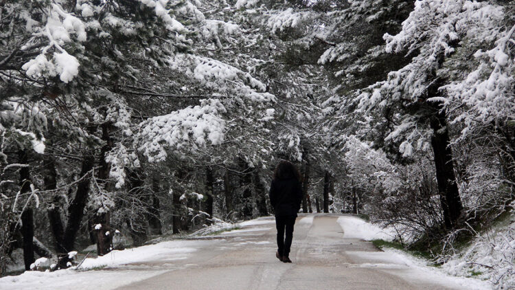 Bolu abant'ta kar yağışı; 10 santimetreye ulaştı