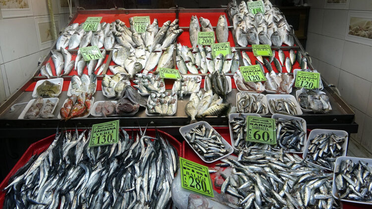 Çanakkale'de tezgahlardaki balık çeşitliliği azalmadı