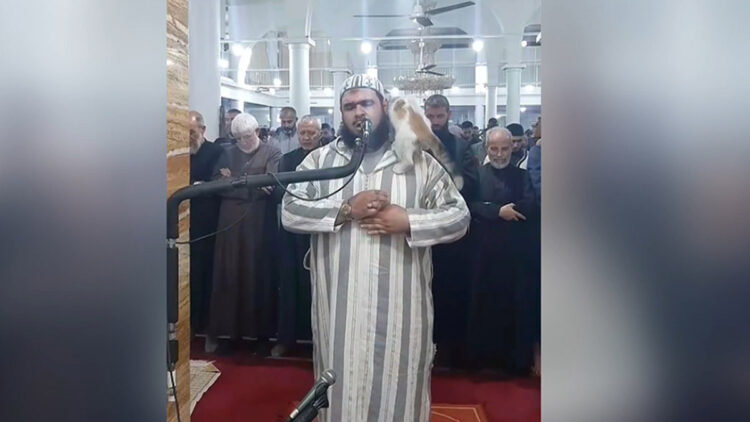 Cezayir’de imamın üstüne atlayan kedi gündem oldu