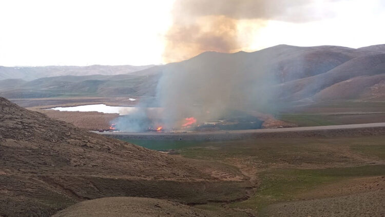 Dikkuyruk ördeklerinin üreme alanı sazlık yandı