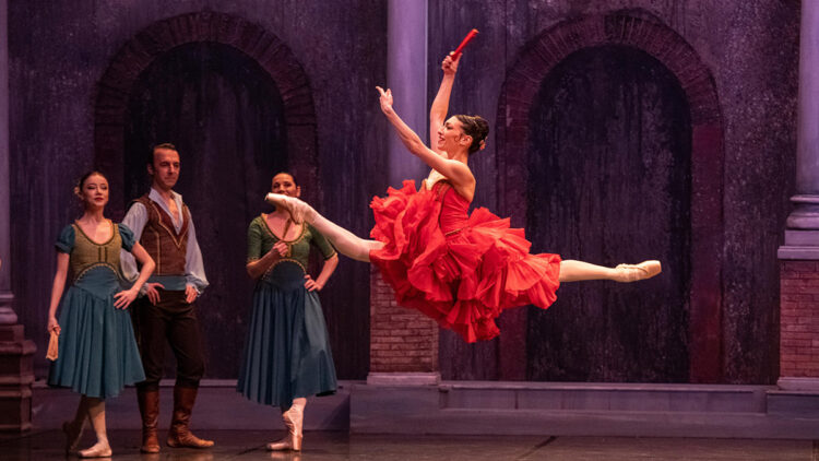 Don Kişot, AKM'de bale severlerle buluşuyor