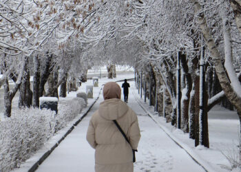 Erzurum'a nisan karı