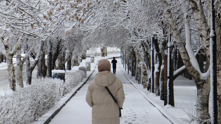 Erzurum'a nisan karı