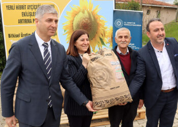 Hibrit ayçiçeği tohumu Edirne'ye tanıtıldı