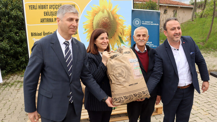 Hibrit ayçiçeği tohumu Edirne'ye tanıtıldı