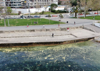 Kadıköy sahilinde görülen müsilaj endişelendirdi