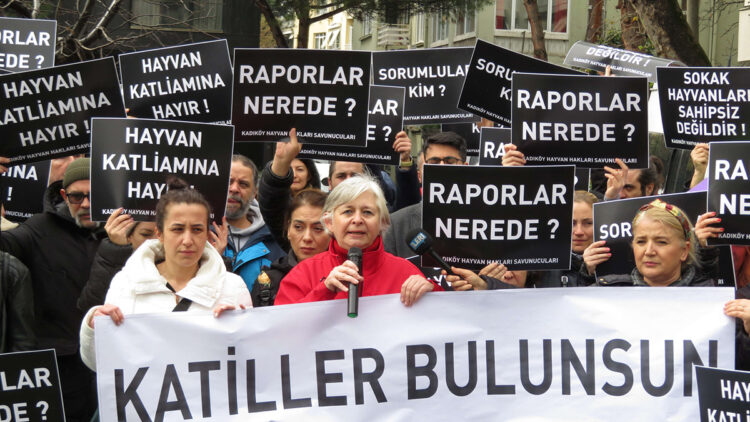 Kadıköy'de hayvanseverlerden eylem