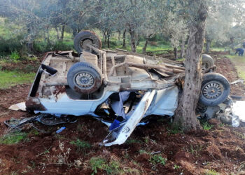 Kamyonet ile otomobil zeytinliğe uçtu: 8 yaralı