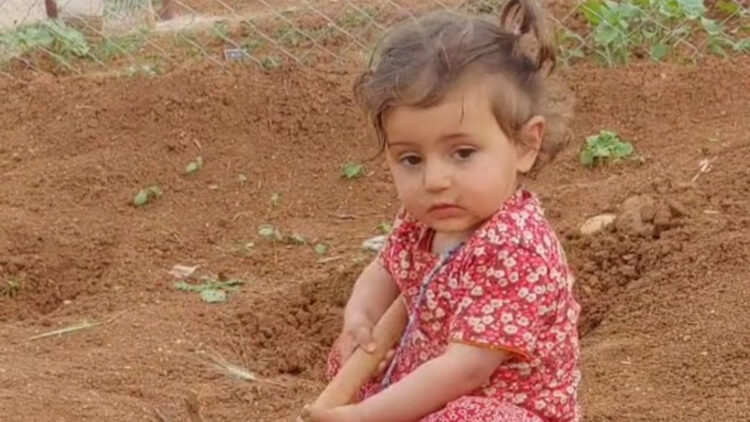 Kamyonetin altında kalan Zekiye öldü