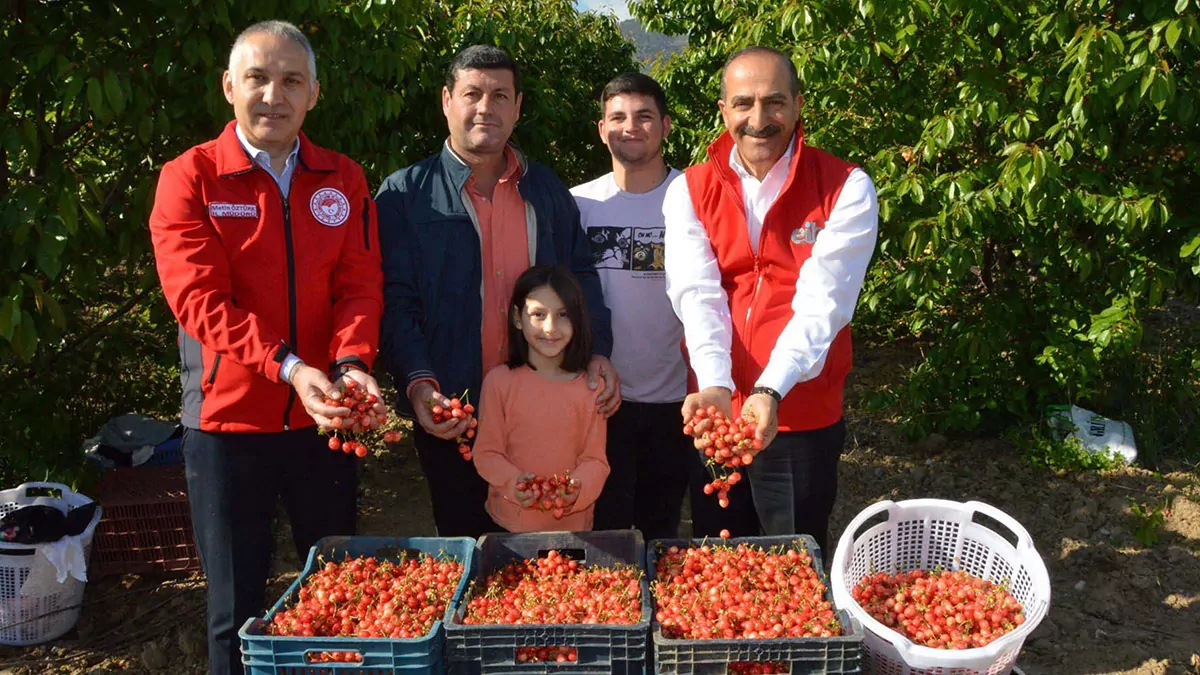 Manisada sezonun ilk kirazi 800 tlden satildiwa - öne çıkan - haberton