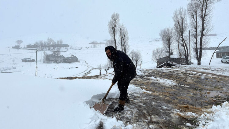 Muş'ta kar yağışı; 30 köy yolu ulaşıma kapandı