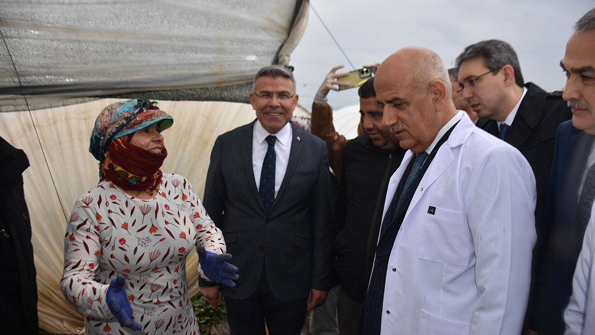 Örtü altı üretim alanı 811 bin dekara çıktı