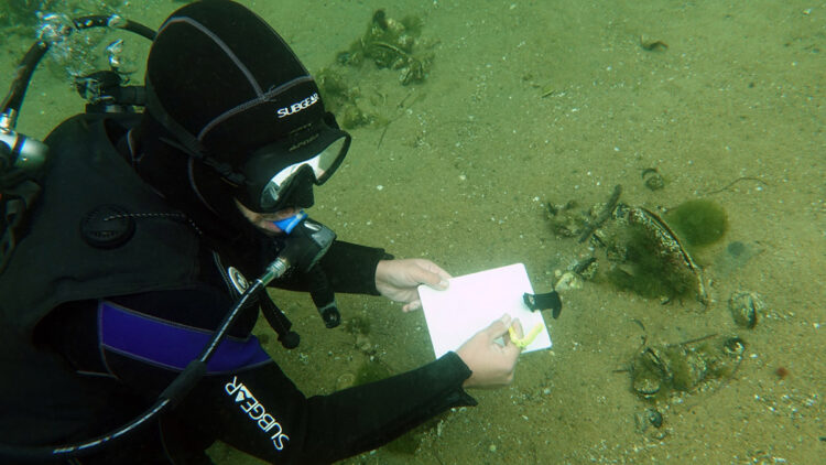 Pina, müsilaj oluşumunu engelliyor