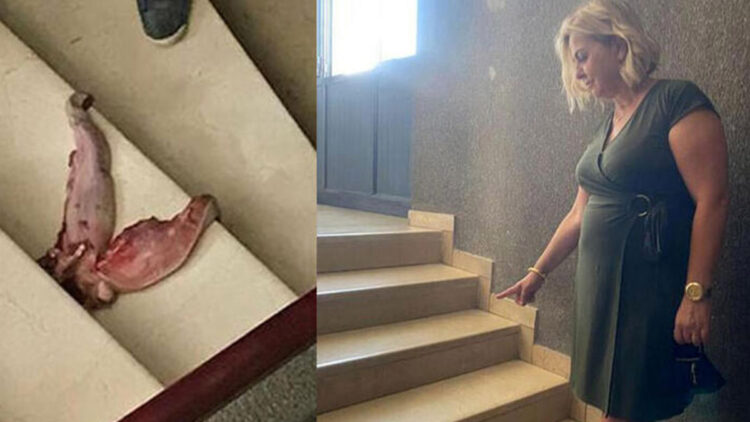 Profesörü dana dili ile tehdit davasında karar