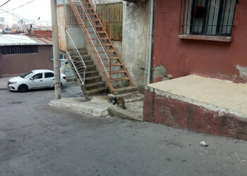 Recibe Koluman, çocuğunun gözü önünde öldürdü
