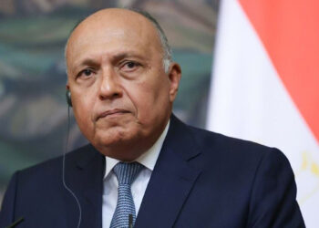 Mısırlı bakan Sameh Shoukry yarın Türkiye'ye geliyor
