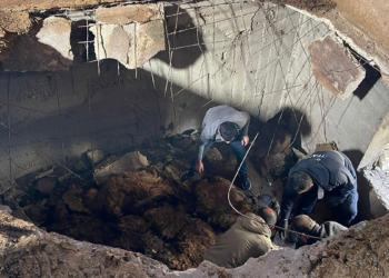 Siirt’te çöken ahırda 12 koyun öldü