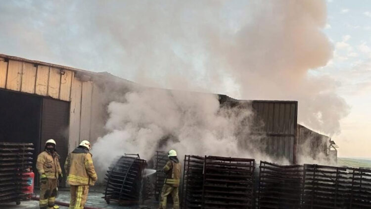 Silivri'de mangal kömürü üretim tesisinde yangın 