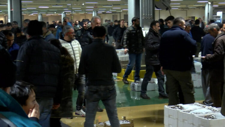 Son kez ağ atan balıkçılar hale döndü