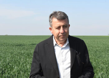 Son yağışlarla çiftçinin sıkıntısı son buldu
