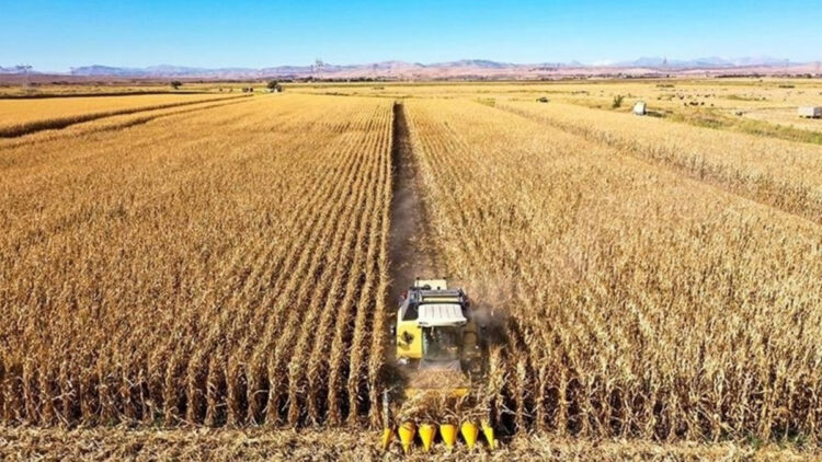 TÜİK: Tarım-ÜFE martta yüzde 1,79 arttı