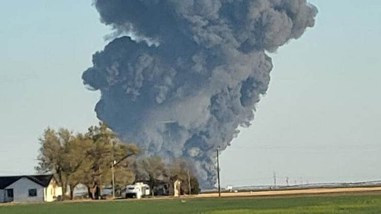 Teksas’ta bir mandırada patlama: 18 bin inek öldü